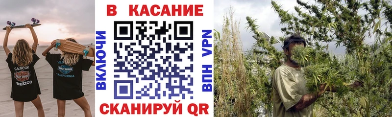 Купить закладку Гашиш Конопля A-PVP Амфетамин Меф Злынка