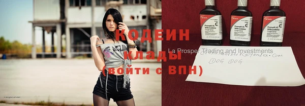 ешки Елабуга