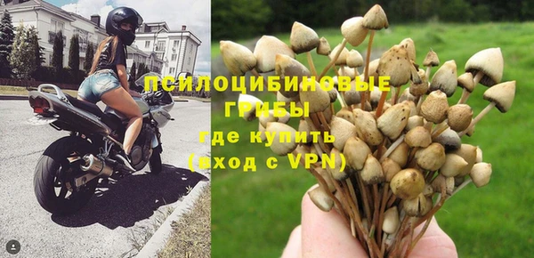 ешки Елабуга