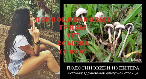 ешки Елабуга