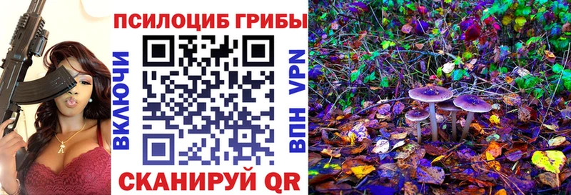 Купить где  Злынка  Псилоцибиновые грибы GOLDEN TEACHER 
