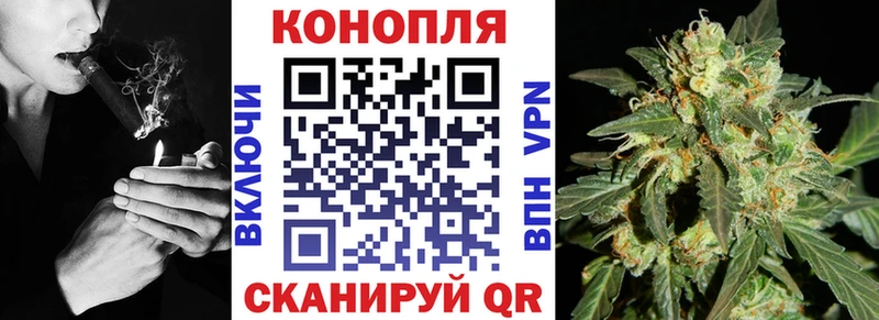 Шишки марихуана THC 21%  Купить закладки  Злынка 